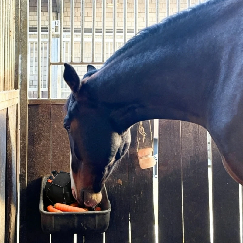 Horse Ball Toy Stretch-Resistant Carrot Feeder Chews Training Ball for Equine Entertainment and Prevention