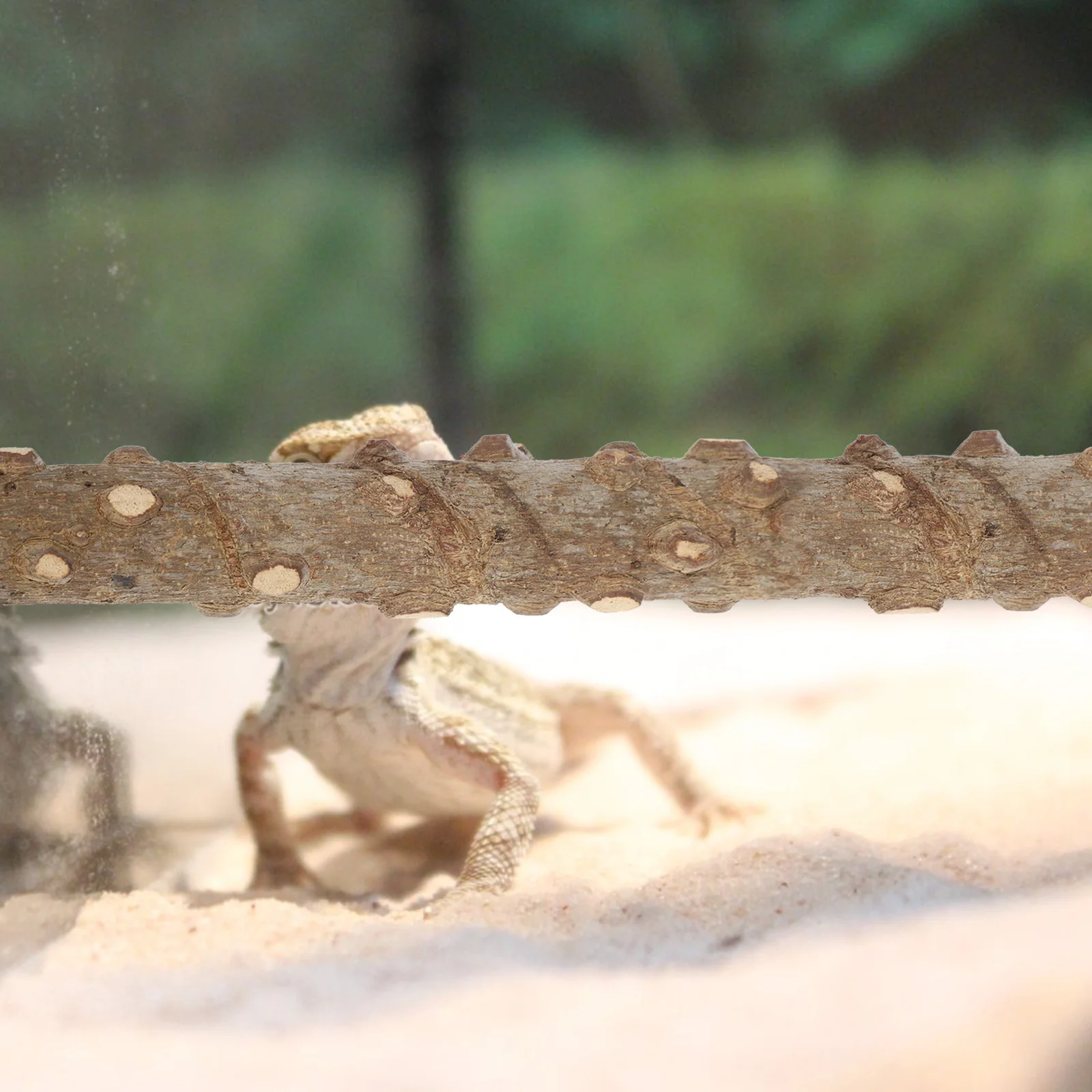 

2Pcs Reptile Climbing Corner Stick Durable Natural Material Suction Cup Zip Ties for Lizard Snake Terrarium Habitat Decoration