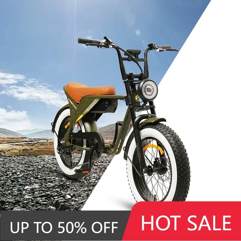 QQW TXED 20 inch economy fat tire bicycle 250w Ebike 48v electric bicycle motorcycle Ebike