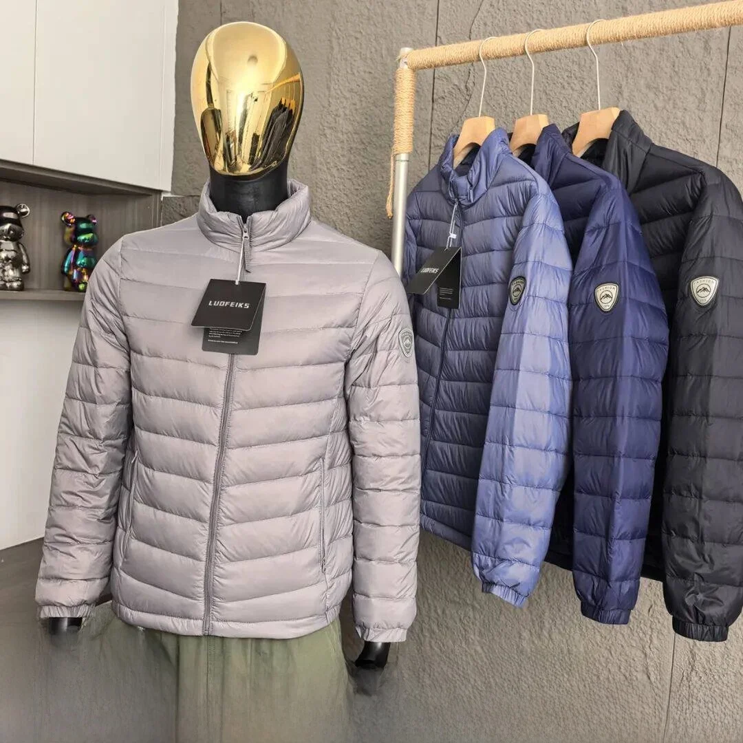

Men's Fashion Stand Collar down Jacket Lightweight Warm 90 White Duck down New Autumn Winter Polyester Fiber Casual Style