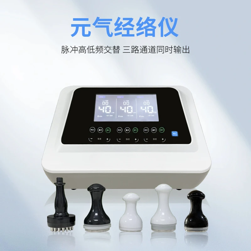 

Yuanqi Plant, Meridian Health Instrument, DDS Meridian Dredging, Moxibustion, Massage, Shoulder and Neck Physiotherapy Hospital