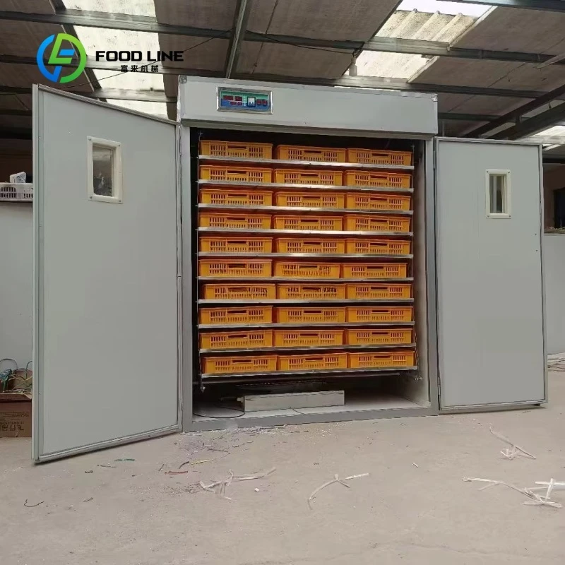 

Egg Incubator 256 PCS 12672 Eggs Hatcher Fully Automatic Hatching Machine 10000 Capacity Customized On Sale