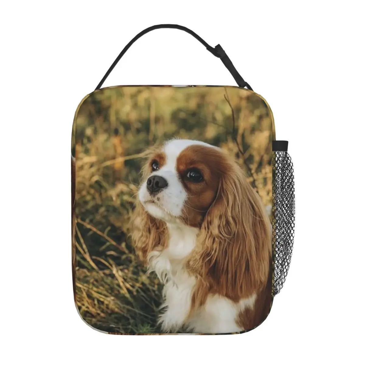 Custom Cavalier King Charles Spaniel Square Insulated Lunch Bag for Women Children Portable Food Boxes Thermal Lunch Box Tote