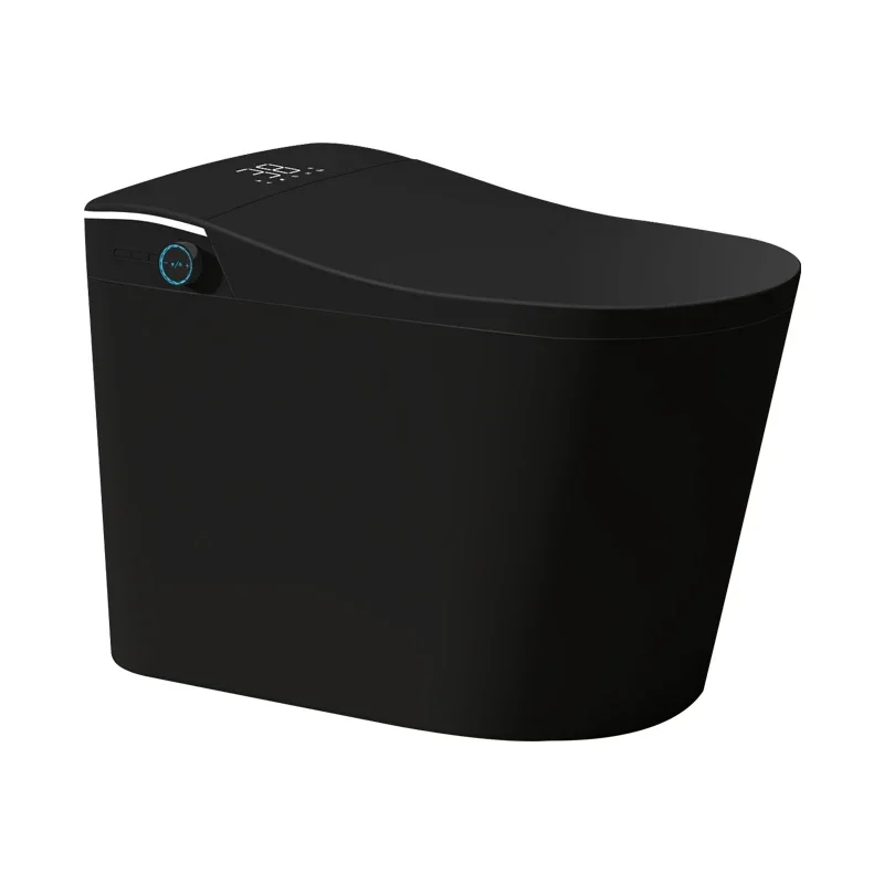 Modern Electronic Sensor Auto Flush Intelligent Toilet