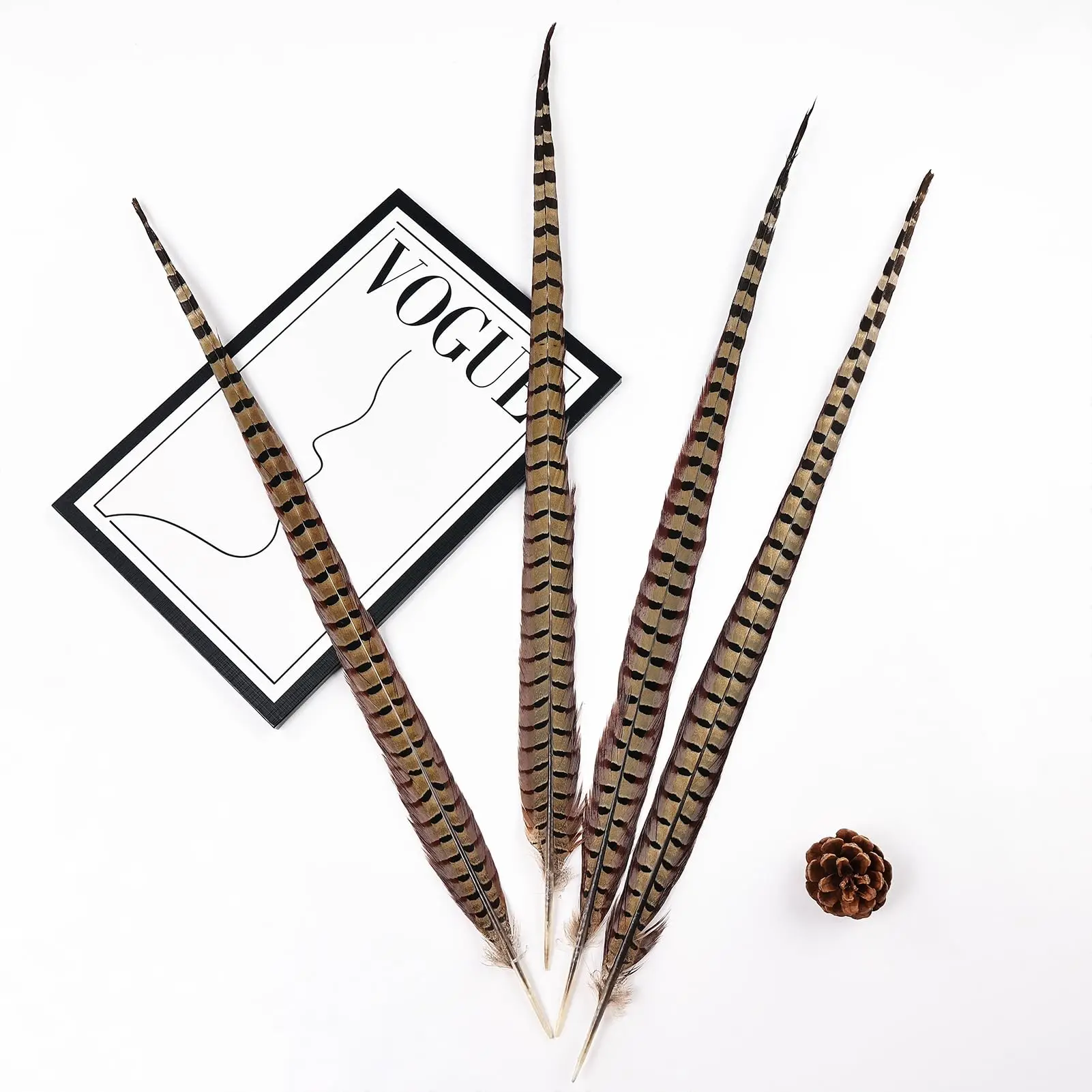 5 قطعة ريشة الدراج الطبيعية الذكور Ringneck الذيل الريش DIY بها بنفسك الحرف المنزل حفل زفاف كرنفال الديكور