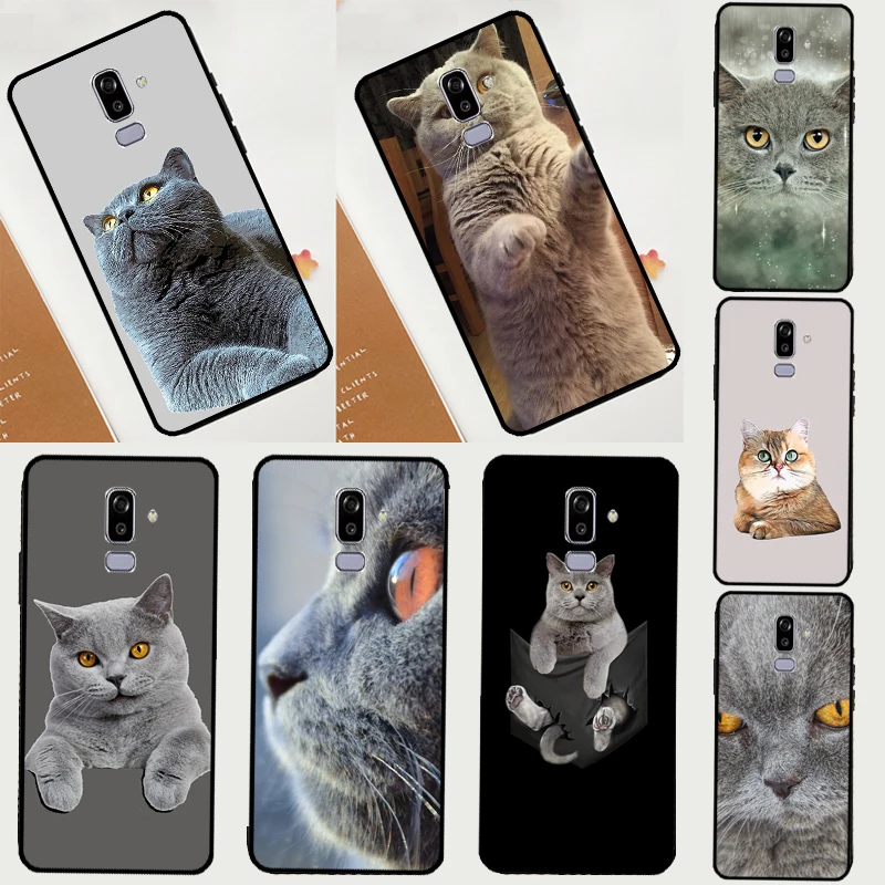 British Shorthair Cat For Samsung Galaxy M13 M14 M33 M12 M32 M52 M31 M55 M15 M11 M21 M35 M53 M34 M54 M06 M16 Case