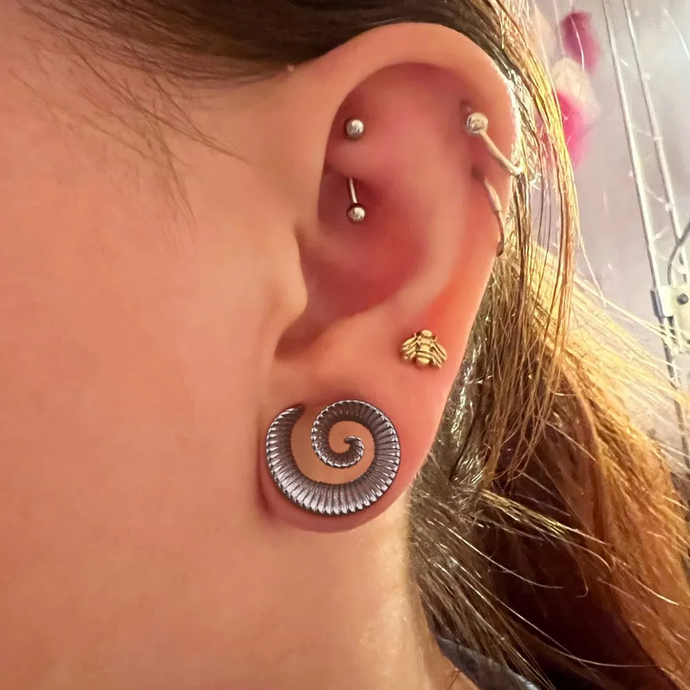 Casvort 2PCS 316 Stainless Steel Cool Ear Tunnels Plug Spiral Saddle Gauges Piercing Body Jewelry for Stretched Earlobe Expander