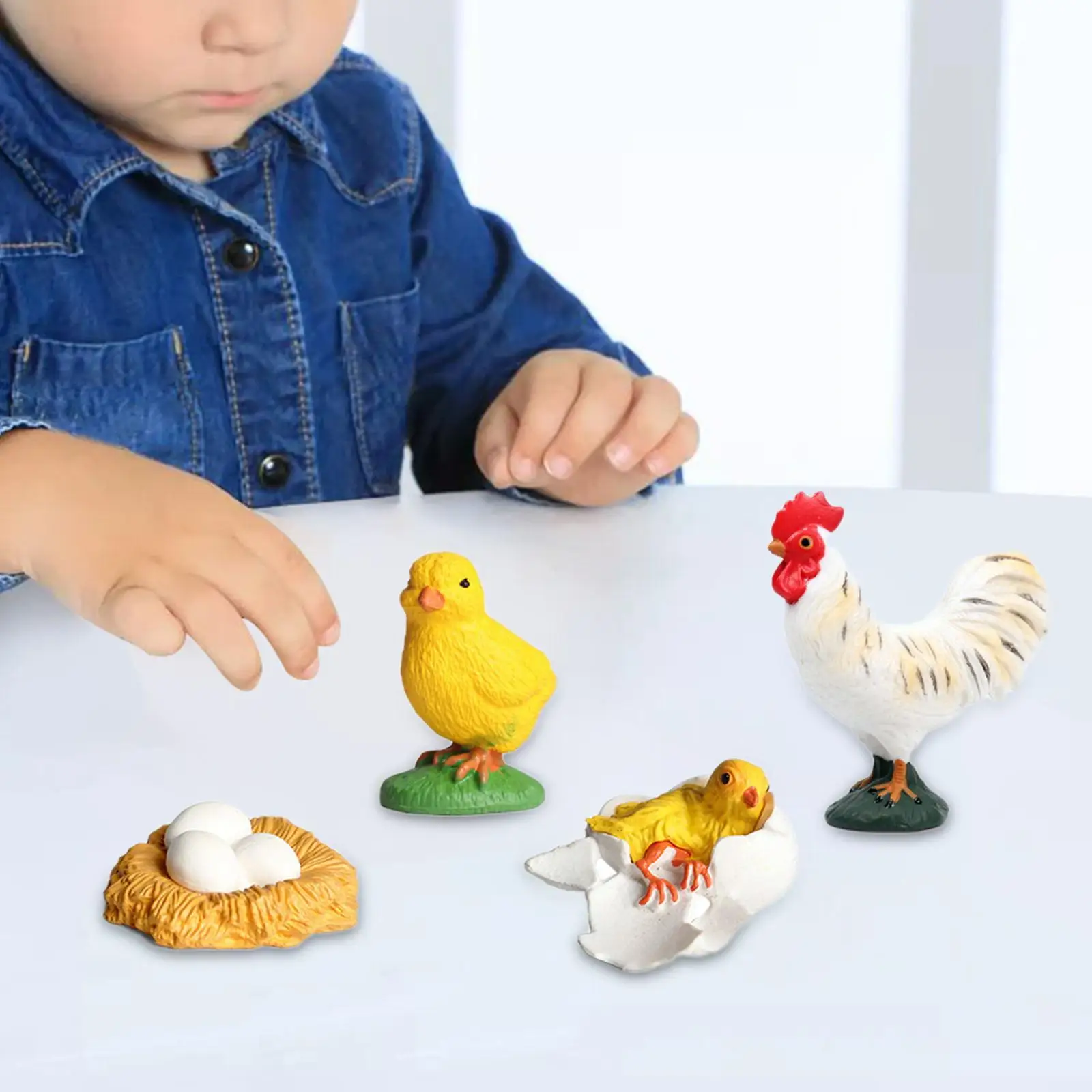 Rooster Life Cycle Set Education Toy Animal Life Growth Cycle Figure Biology Simulation Animal for Girls Toddlers Children Boy