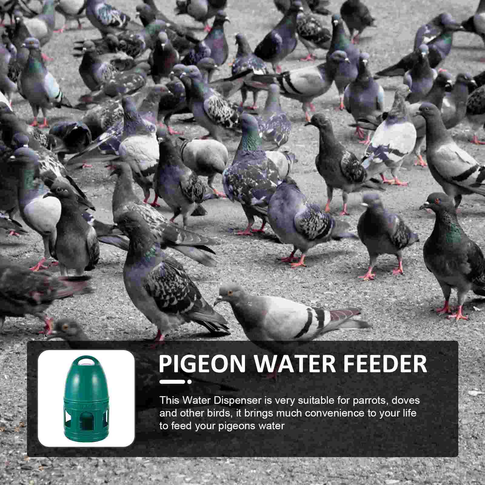 Water Bottle Pigeon Drinking Fountain Pet Household Bird Accessories Feeder Plastic Water Bottle