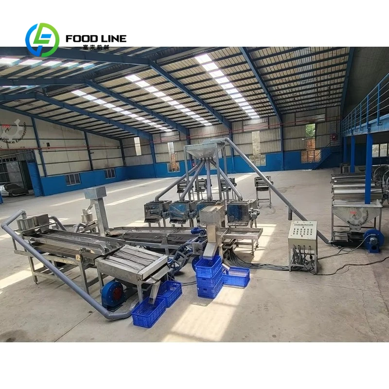Factory Price Customized Efficient Cashew Processing Machine Boost Production For Cashew Nut Shelling Industrial Plant
