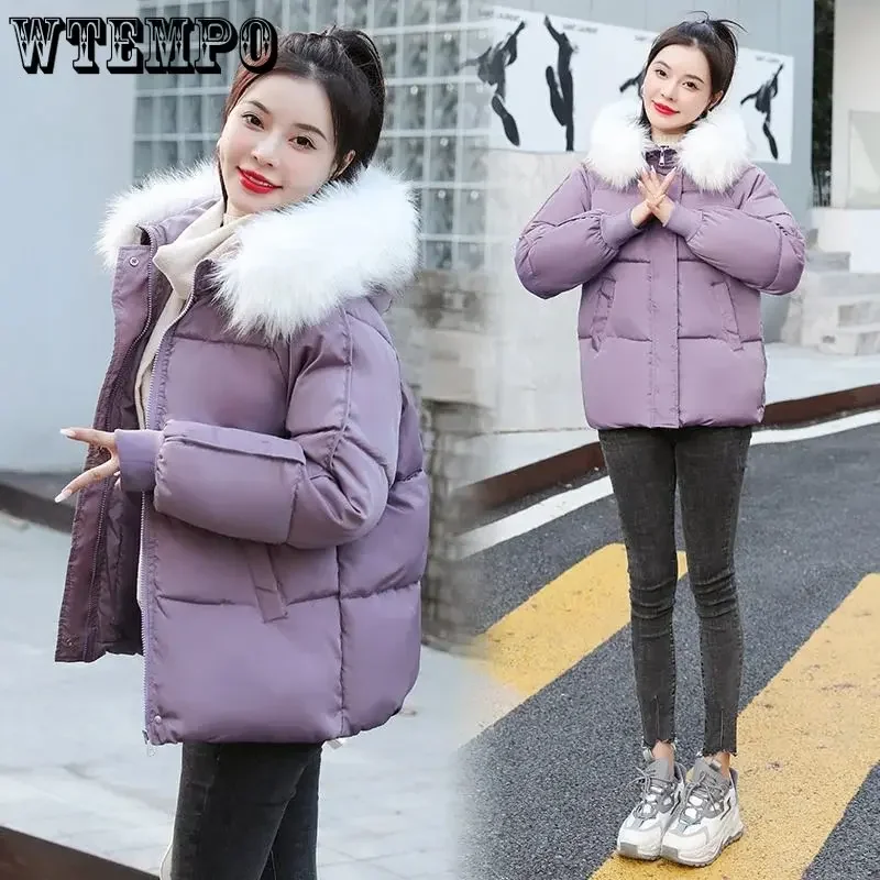 Wtempo sólido com capuz parkas feminino inverno manga longa zíper casacos curtos senhora casual gola de pele quente algodão acolchoado jaquetas