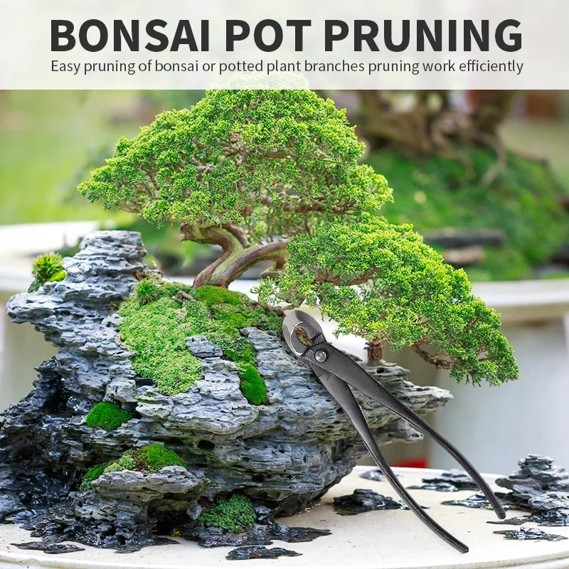 Onnfnag profissional bonsai cortador de borda côncava tesoura cortador de raiz de aço para poda de bonsai árvore morins nós ferramentas bonsai