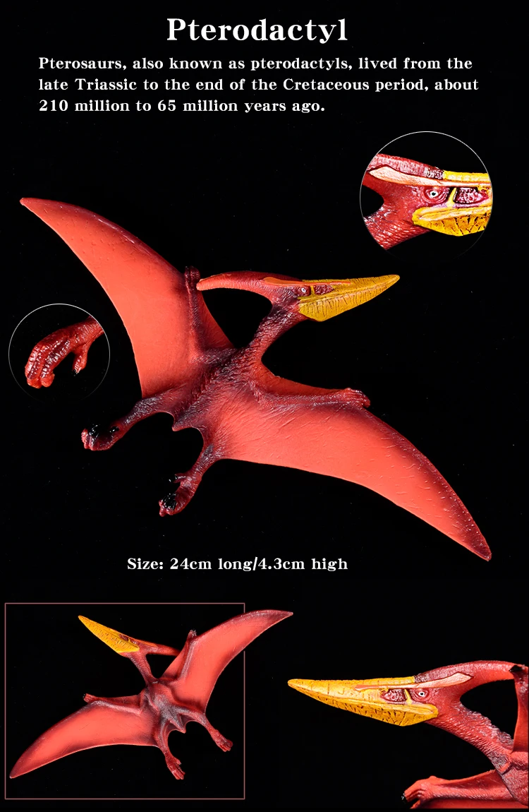 مجموعة ألعاب الديناصور الجوراسي الكلاسيكية - شخصيات Quetzalcoatlus & Pterodactyl نماذج حيوانات PVC لمجموعة الأطفال