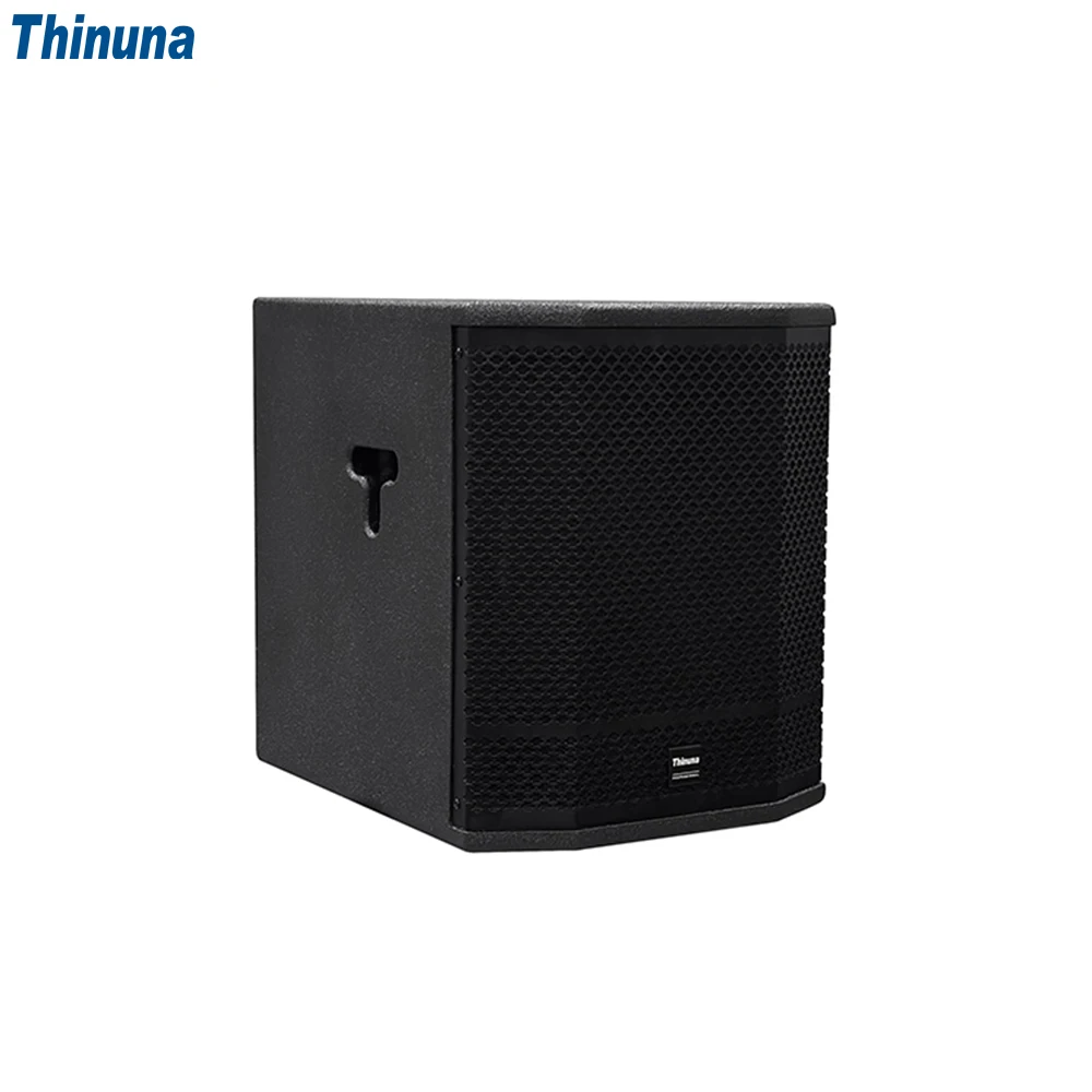 NewThinuna T-12B Professional Sound Equipment 400W RMS Passive 12" Subwoofer Cabinet 132dB Peak SPL Bass for Pro Audio Systems