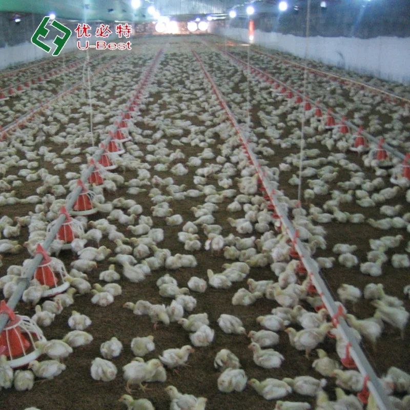 Hot Sale Automatic Chicken Poultry Farming Animal & Poultry Husbandry Equipment Feeders and Drinkers Equipment