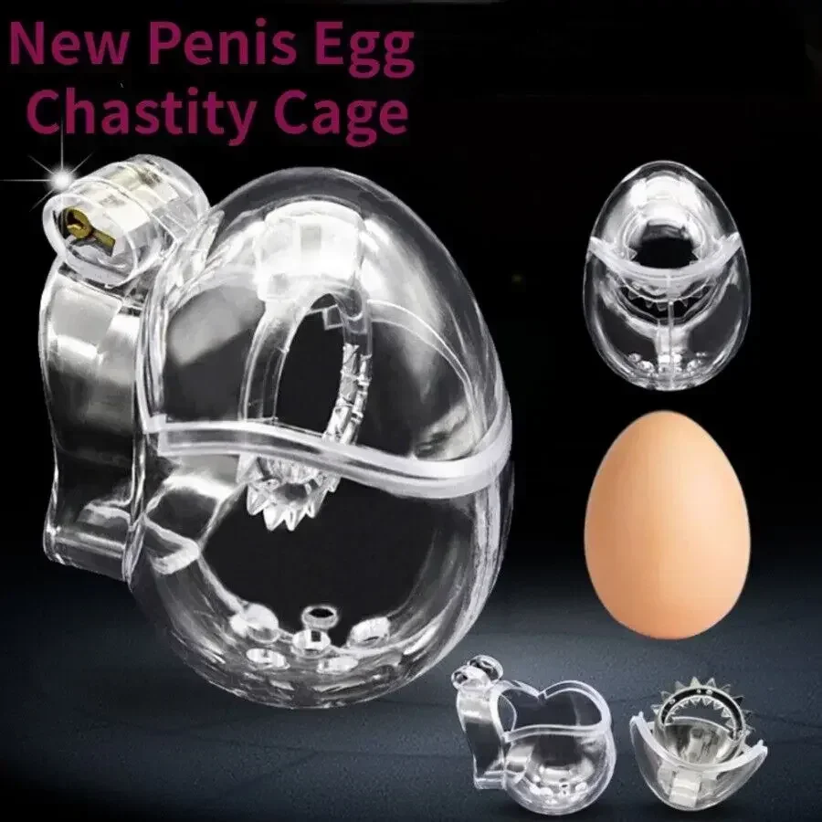 Detachable Bondage Egg Type Male Chastity Cage With Barbed Ring Scrotal Ball BDSM Chicken Cage Penis Stretcher Abstinence SexToy