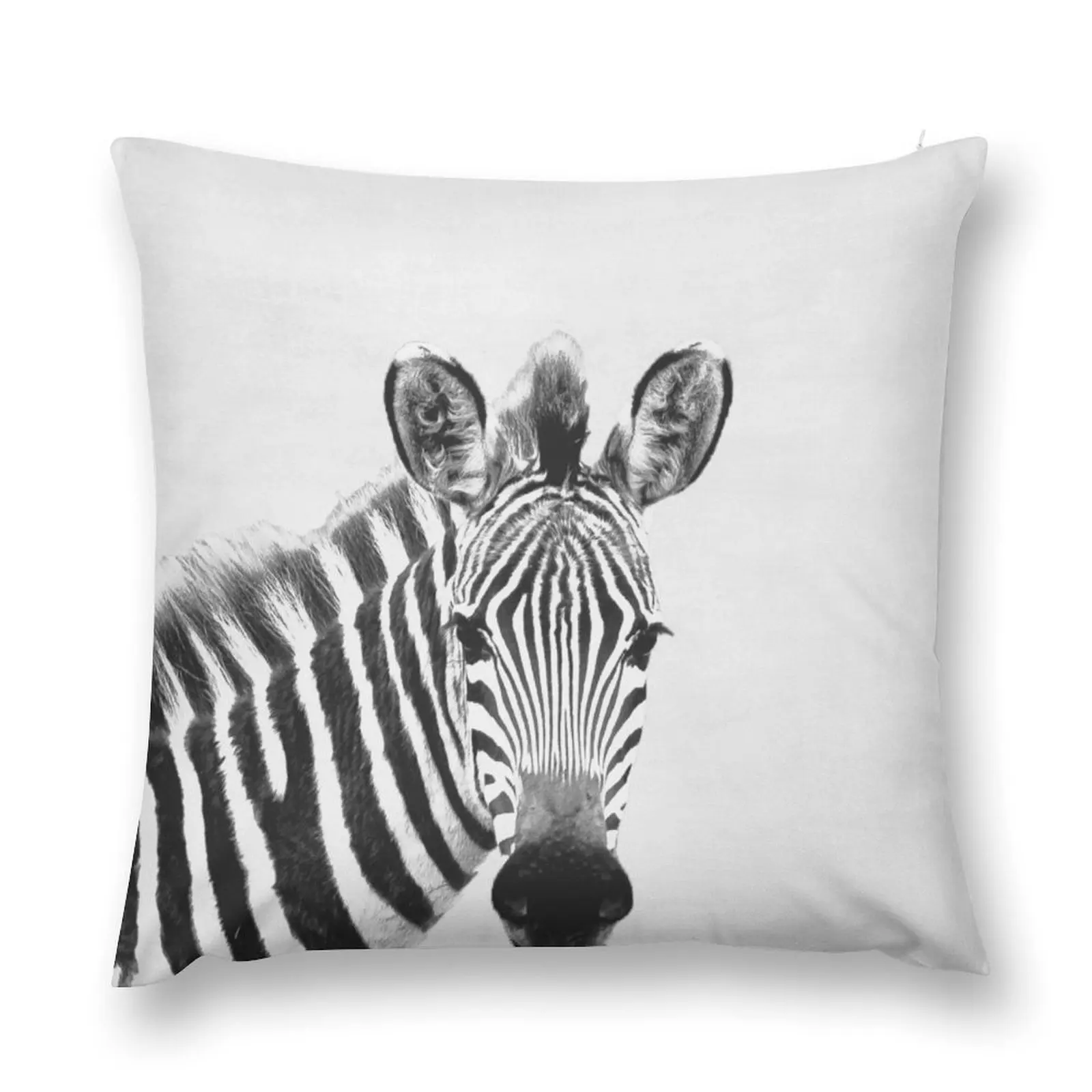 

Zebra Throw Pillow Ornamental Pillow Cushions For Decorative Sofa Luxury Pillow Cover Luxury Case