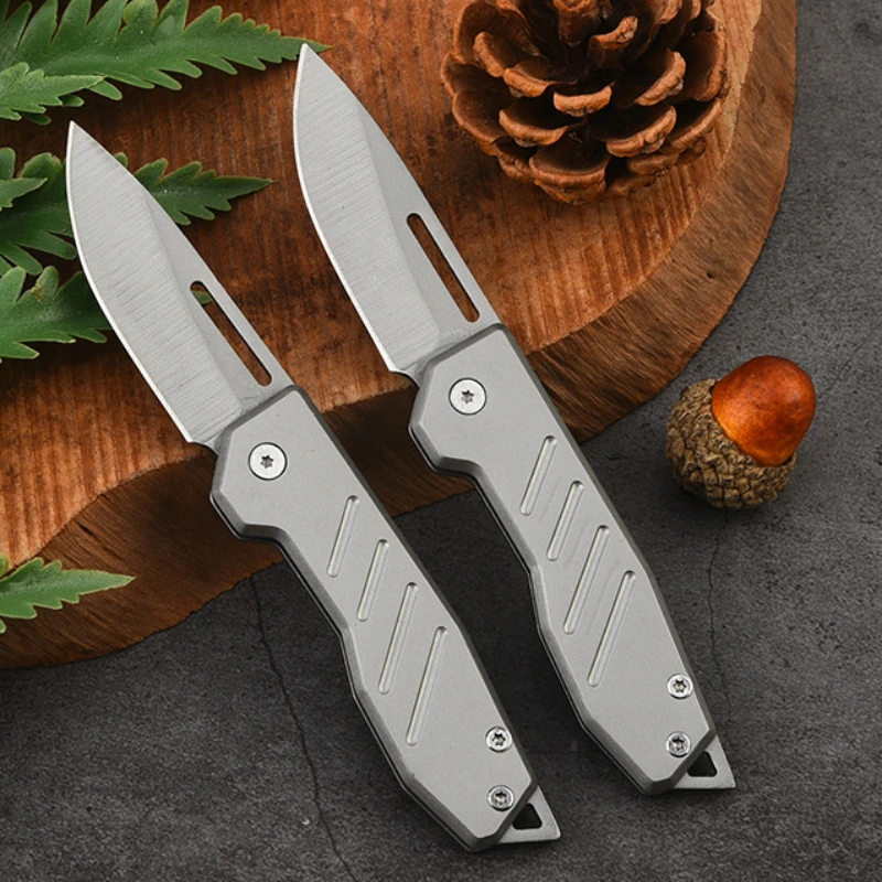 المحمولة صلابة عالية في الهواء الطلق المحمولة الفولاذ المقاوم للصدأ سكين صغير قابل للطي المفاتيح الملحقات هدية عيد