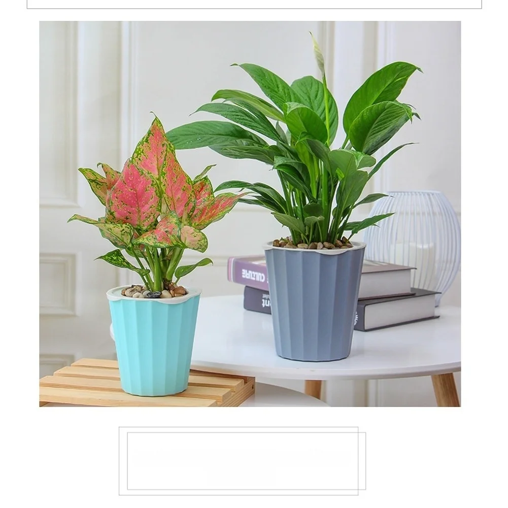 Indoor Garden Container Self Watering Flower Pot High Strength Pp Material Heat And Cold Resistant Automatic Water Circulation