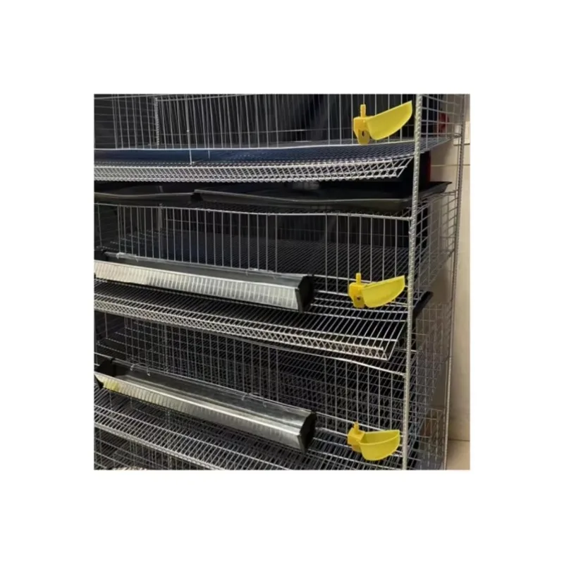 Gabbia per quaglie di tipo H premium per una produzione efficiente delle uova Gabbie per quaglie per allevamento di pollame in nuova condizione