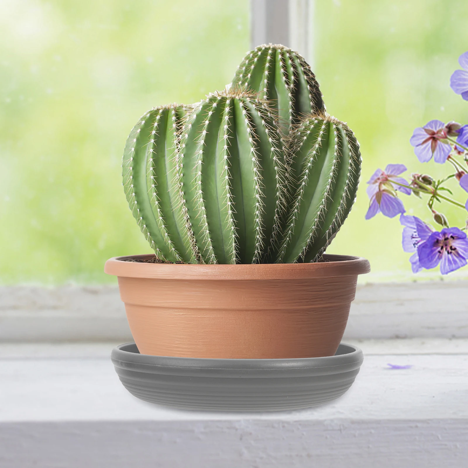 

3 Pcs Pot Drip Tray Plastic Base Saucer Plant Pot Drip Tray Plant Water Trays Gardening Bonsai Round Long Lasting Durable