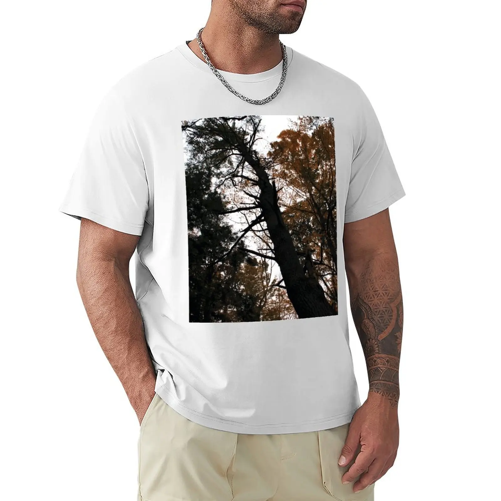 

Fall Forest T-Shirt funnys cute tops Short sleeve tee for a boy T-shirts for men cotton