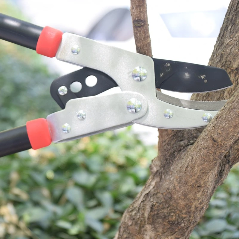 

Labor-saving shearing branches, thick branch shears, fruit tree shears, vigorous shearing, garden thick branch shears