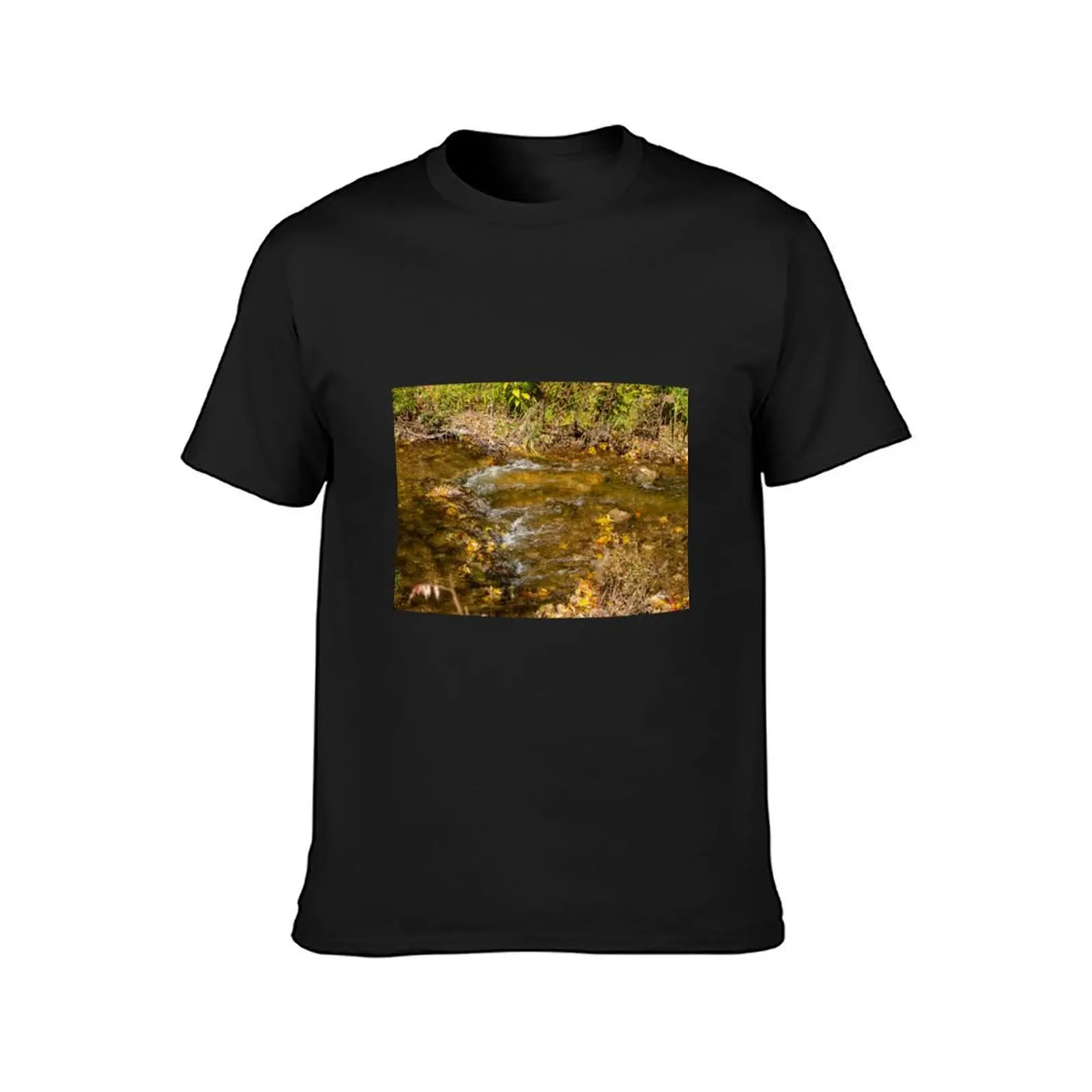 Leaves and Stream T-shirt quick-drying new edition summer clothes blacks t shirt men