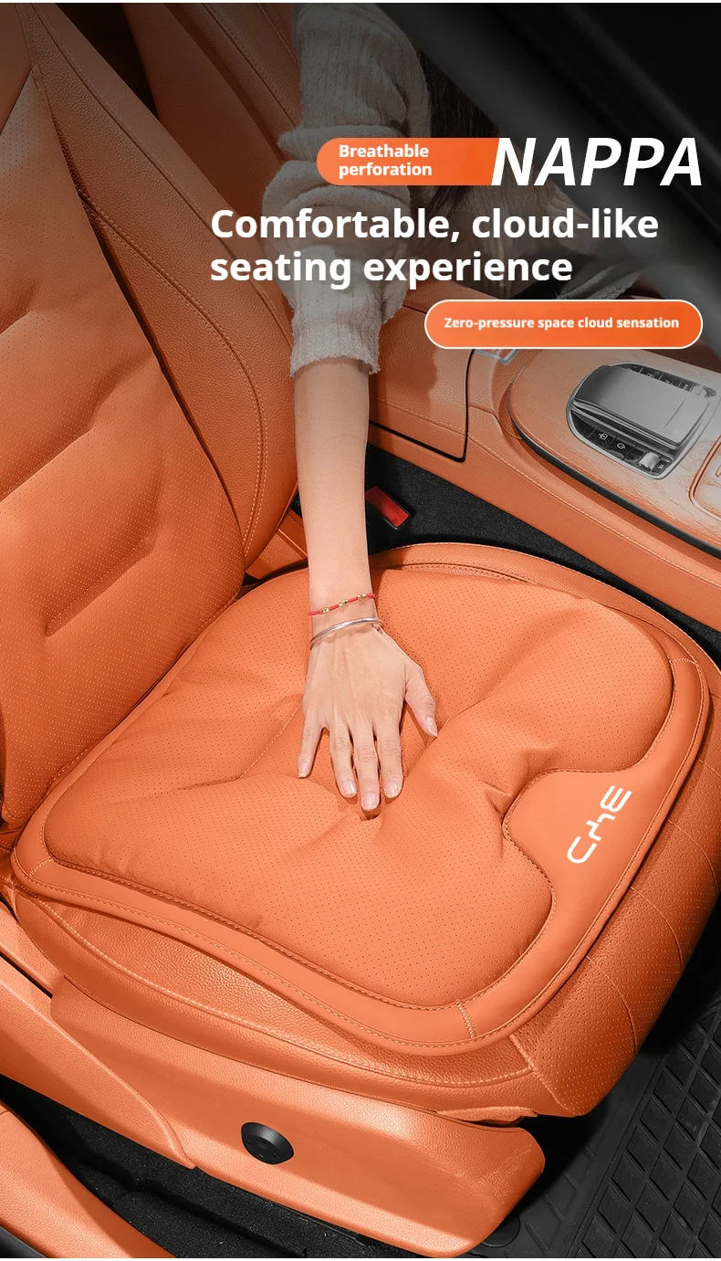 Für BYD Ato 3 Fafengtang F3 E6 Yuan Song Plus EV F0 Qinhan Dolphin S6 Autositz-Rückenlehnenkissenbezug Leder-Sitzschutzpolster – Detail 5