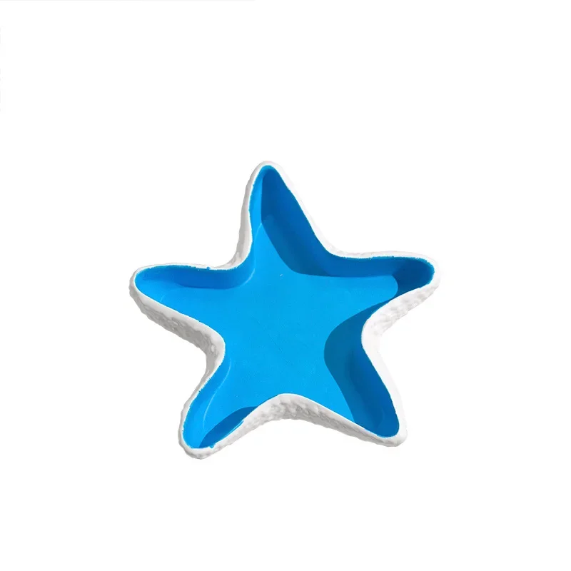 Conchas de estrellas de mar, conchas, modelos de yeso, fotos con adornos, adornos de almacenamiento para el hogar, accesorios, decoración de fondo