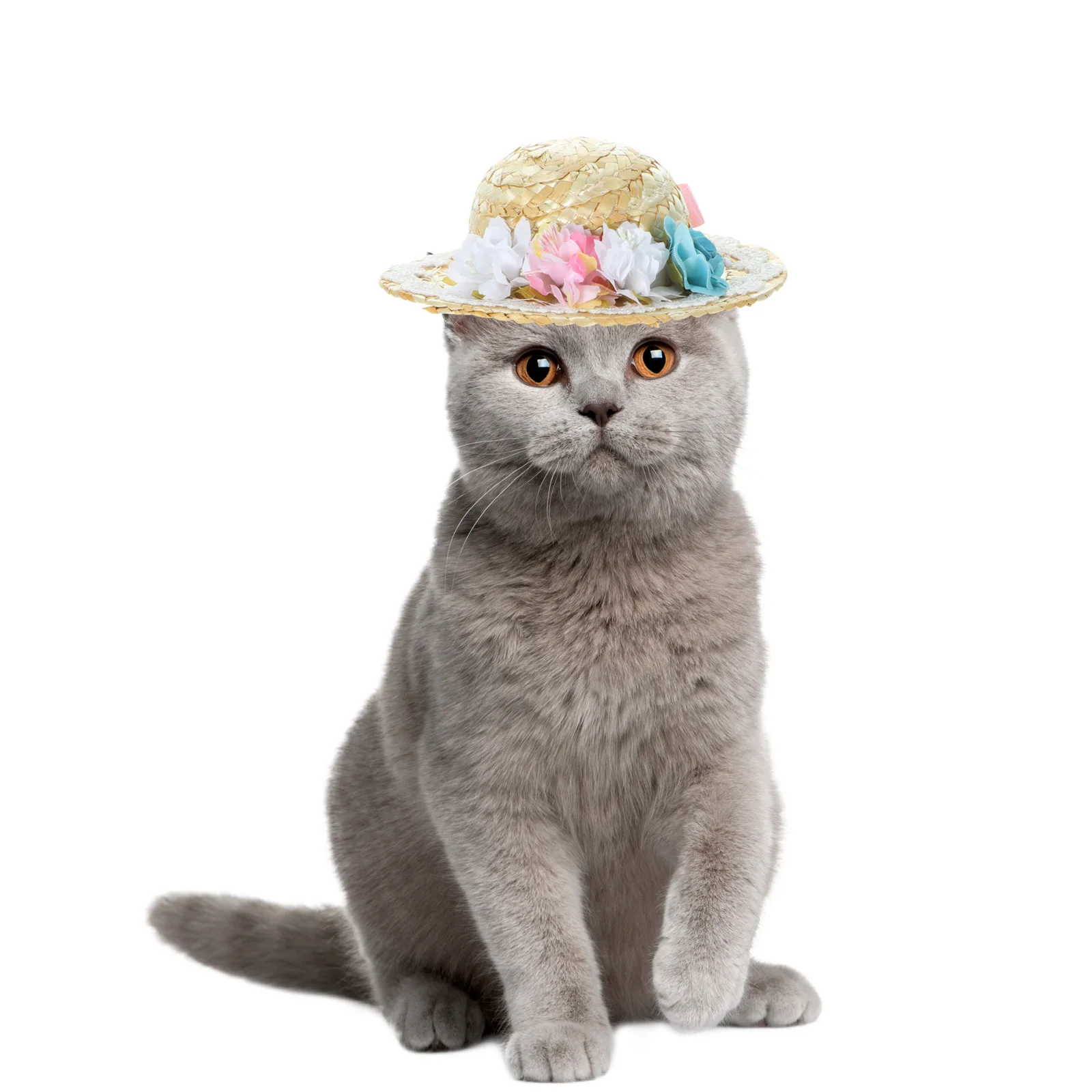 

Creative Dog Woven Summer Outdoor Sun Protection Party Costume Accessory Decorative Headgear For Puppy Cat Pet Hat Pet Supply