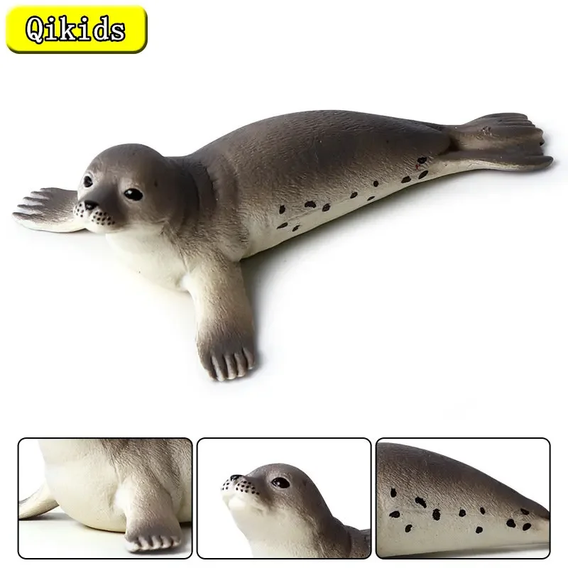 Simulation Ocean Animal  Seal Sea Lion Walrus Model Figures Collection Cognition Educational Toy for Childrens Christmas Gift