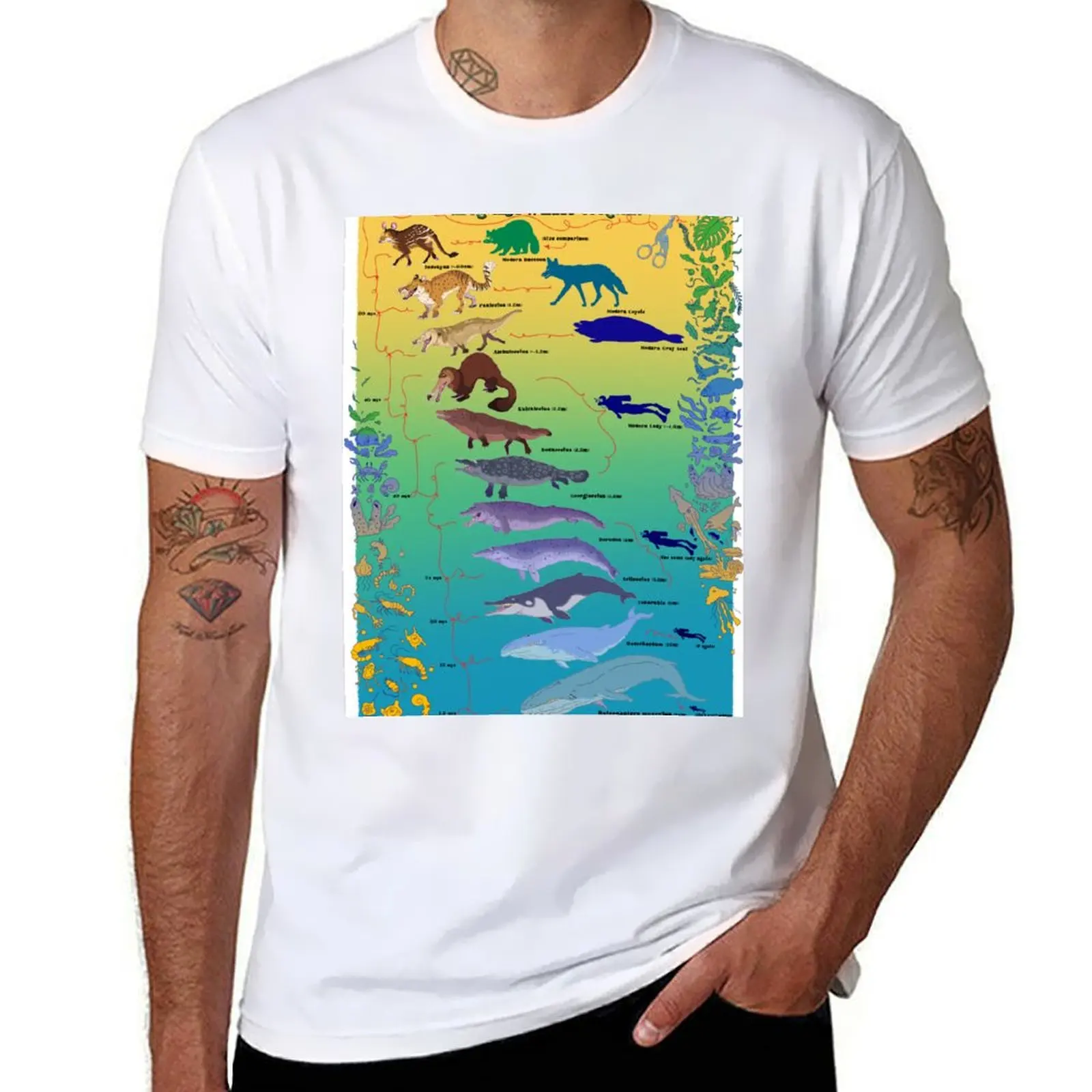 

Whale Evolution T-Shirt graphic t shirts for man t shirt for man T-Shirt