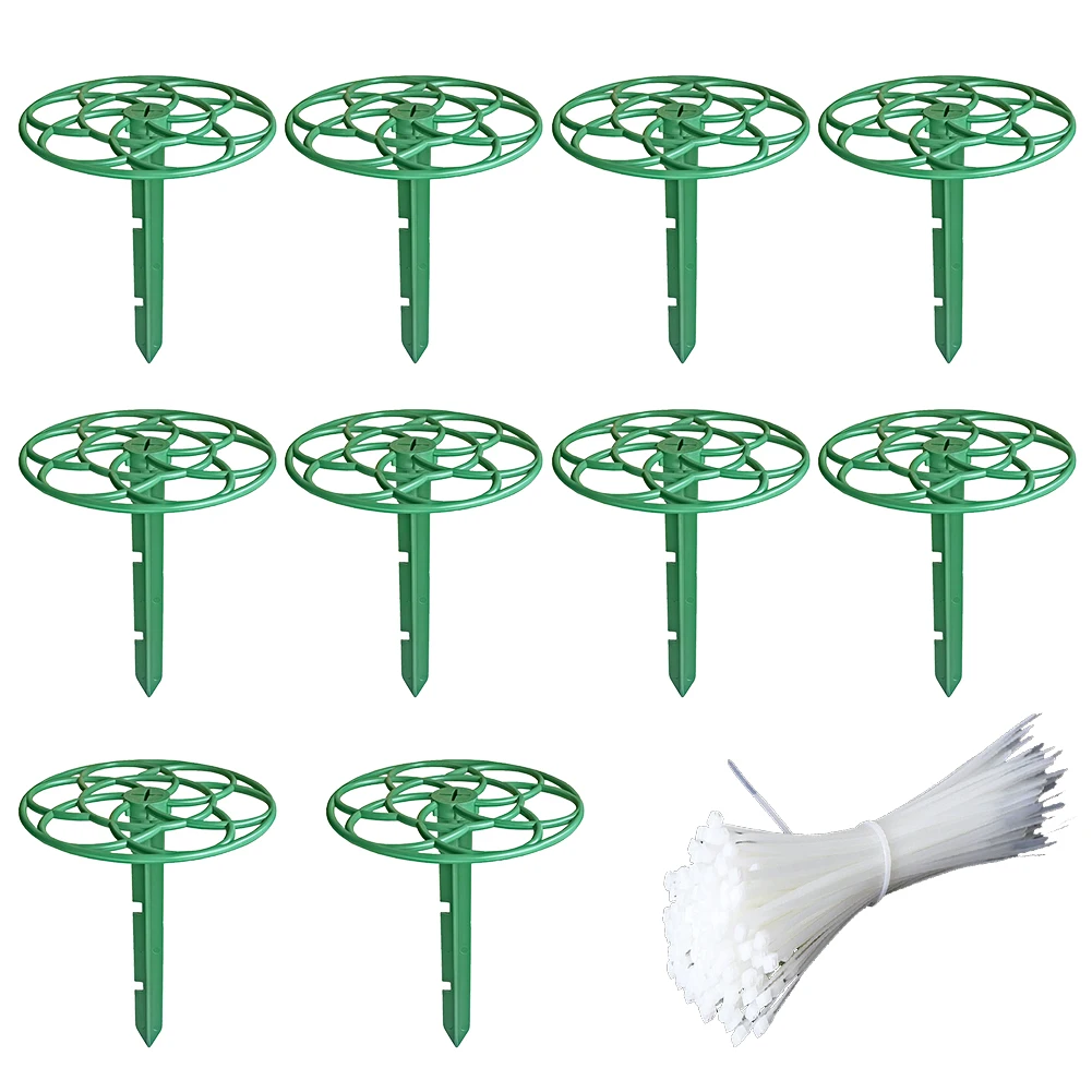 

Creative Decorative Stand For Holidays Strawberry Rack Green Garden Support Effective Plant Elevation Hassle-Free Setup