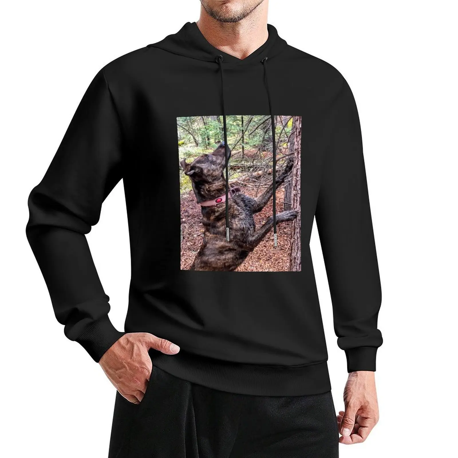 Squirrel Chasing Plott Hound Hoodie men's sweat-shirt autumn jacket men korean clothes men's coat graphic hoodies