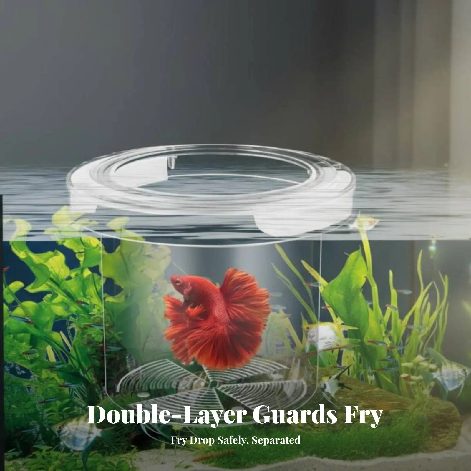 Caixa de Criação de Guppies com Design de Dois Níveis, Caixa de Separação para Habitat Aquático, Viveiro Flutuante para Animais Aquáticos, Permeável à Água