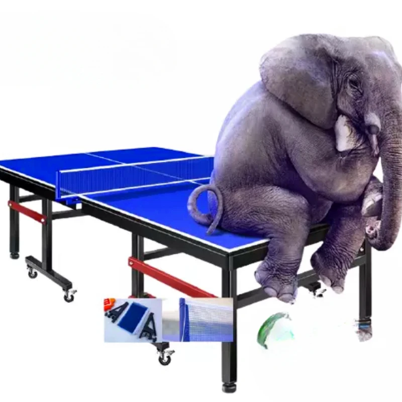 

Professional table tennis tables for sale