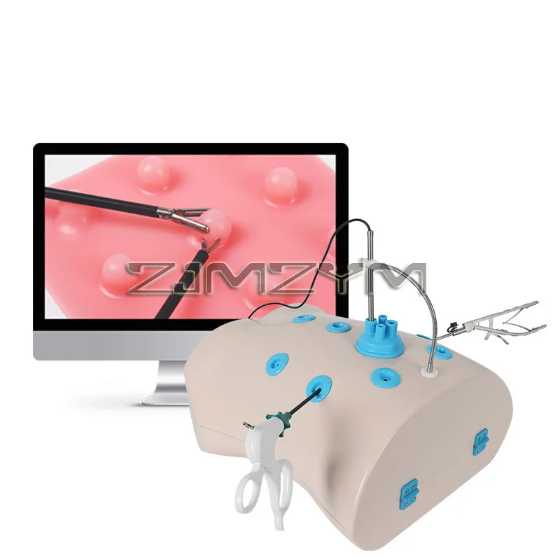 

Simulated Belly Laparoscopic Trainer Simulator Training Box with 0 Degree Straight Rod with Light And 10 Training Modules