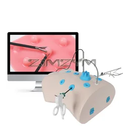 Simulated Belly Laparoscopic Trainer Simulator Training Box with 0 Degree Straight Rod with Light And 10 Training Modules