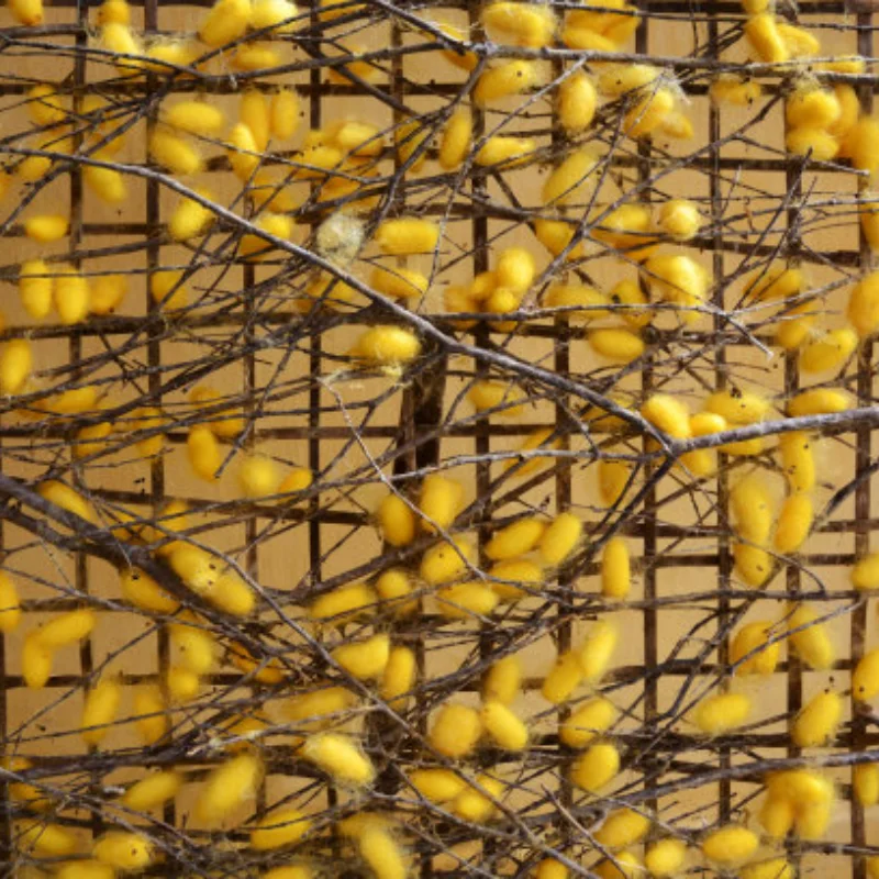 

Металлический модернизированный шестиугольный шарнир 12 мм для SCY MJX RC 1/14 1/16 RC Автозапчасти