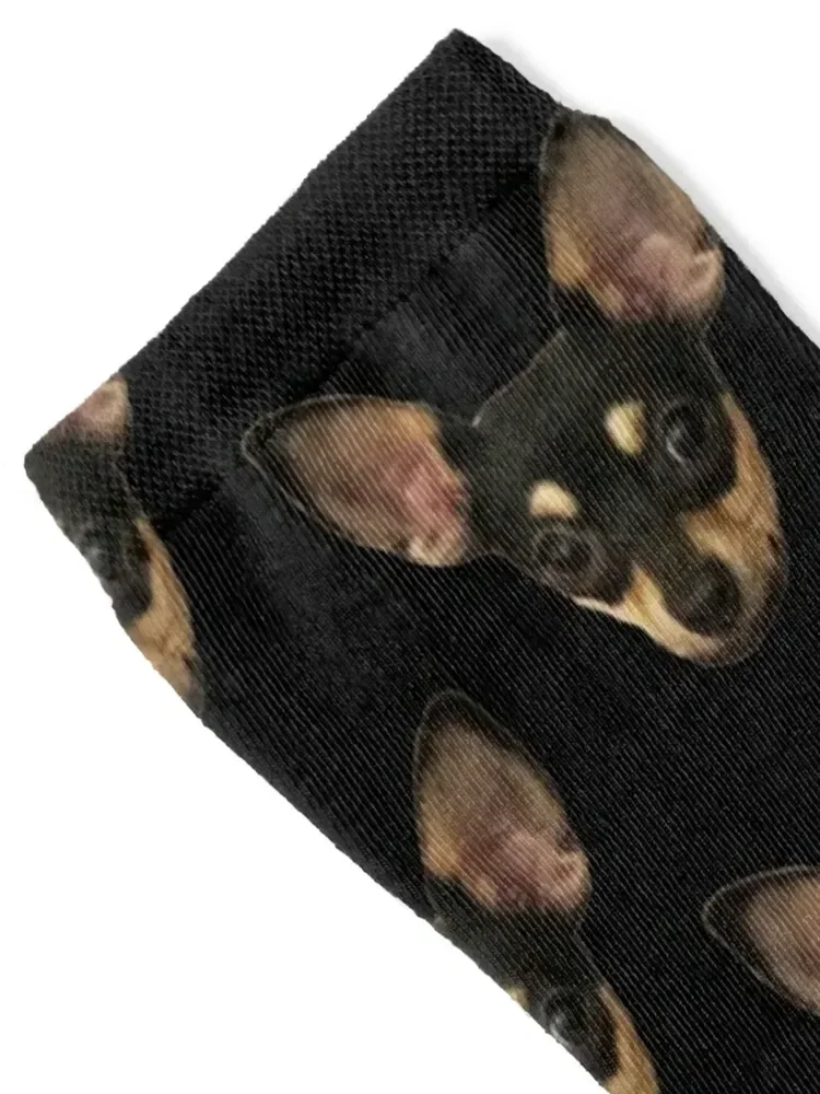 Piper the Chihuahua Face Socks compression cartoon Men's Socks Women's