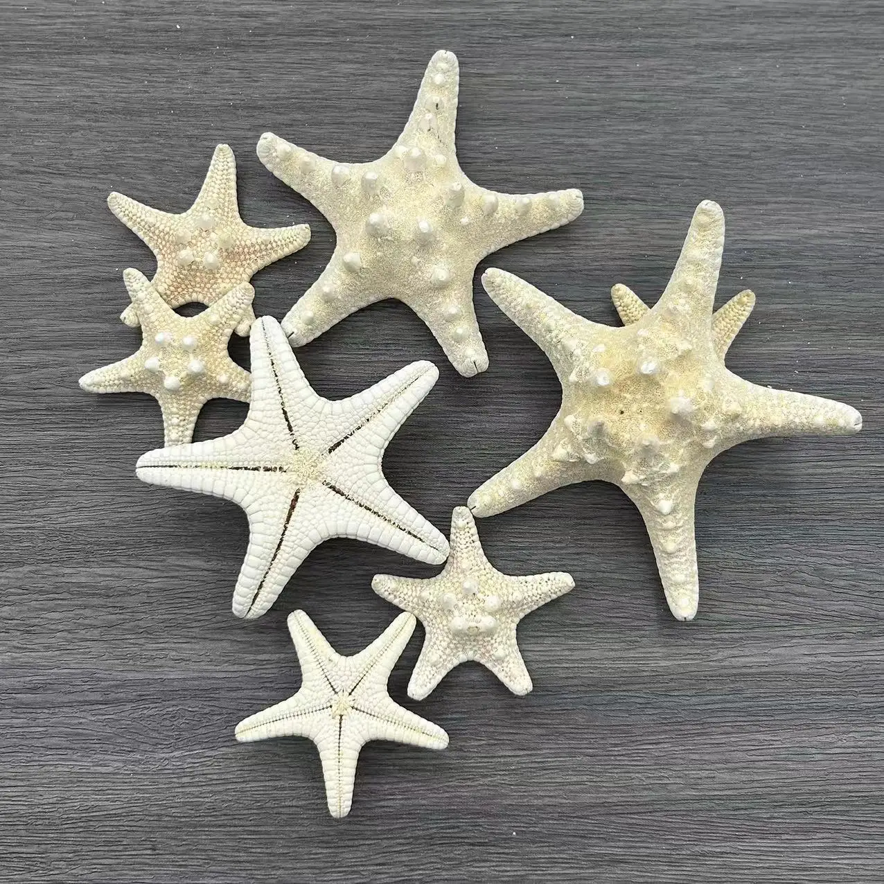 Natural Shell Conch Window Landscaping, Mediterranean Decorative Bread Star Micro Landscape, Furnishing articles Starfish