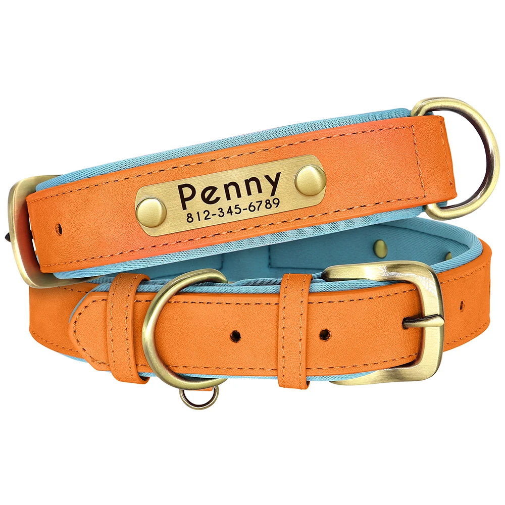Thumbnail 3 - #75 Best Pet Collars to Buy In 2026