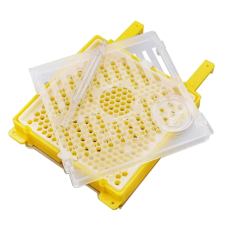 German Queen Bee Feeding Kit Nicot Queen Bee Feeding System Cell Cup Box Cage Tool