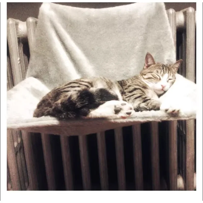 Cat hanging radiator cat nest, pet hanging nest warm nest pad high-end firm hammock