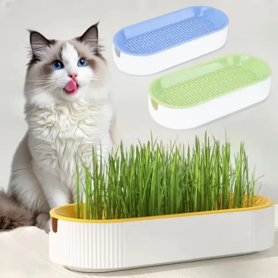 

Water grass cultivation box soilless water cultivation greenhouse cat grass growth box pet supplies to promote the digestive