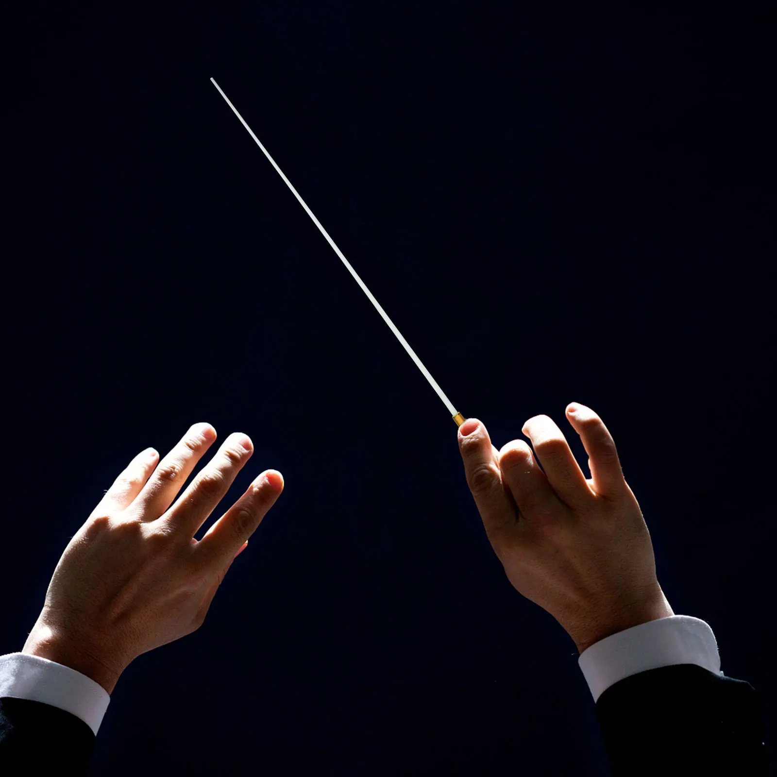

Aluminum Alloy Resin Music Baton for Conducting Professional Show Conductor Even Straight Suitable