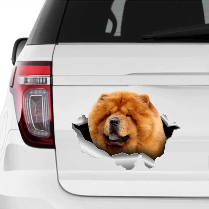 Creativiteit Autosticker Hond Huisdier Waterdicht Vinyl Sticker Auto Accessoires Decor Geschikt Voor Verschillende Modellen