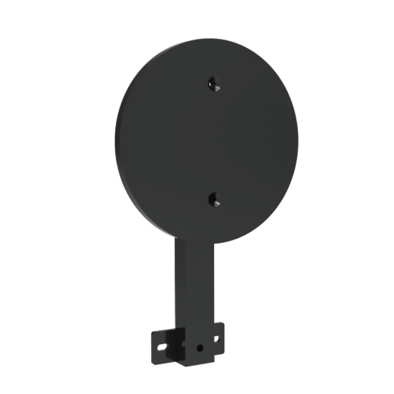 Wall Ball Target Fitness Training for Gym Racks & Rig