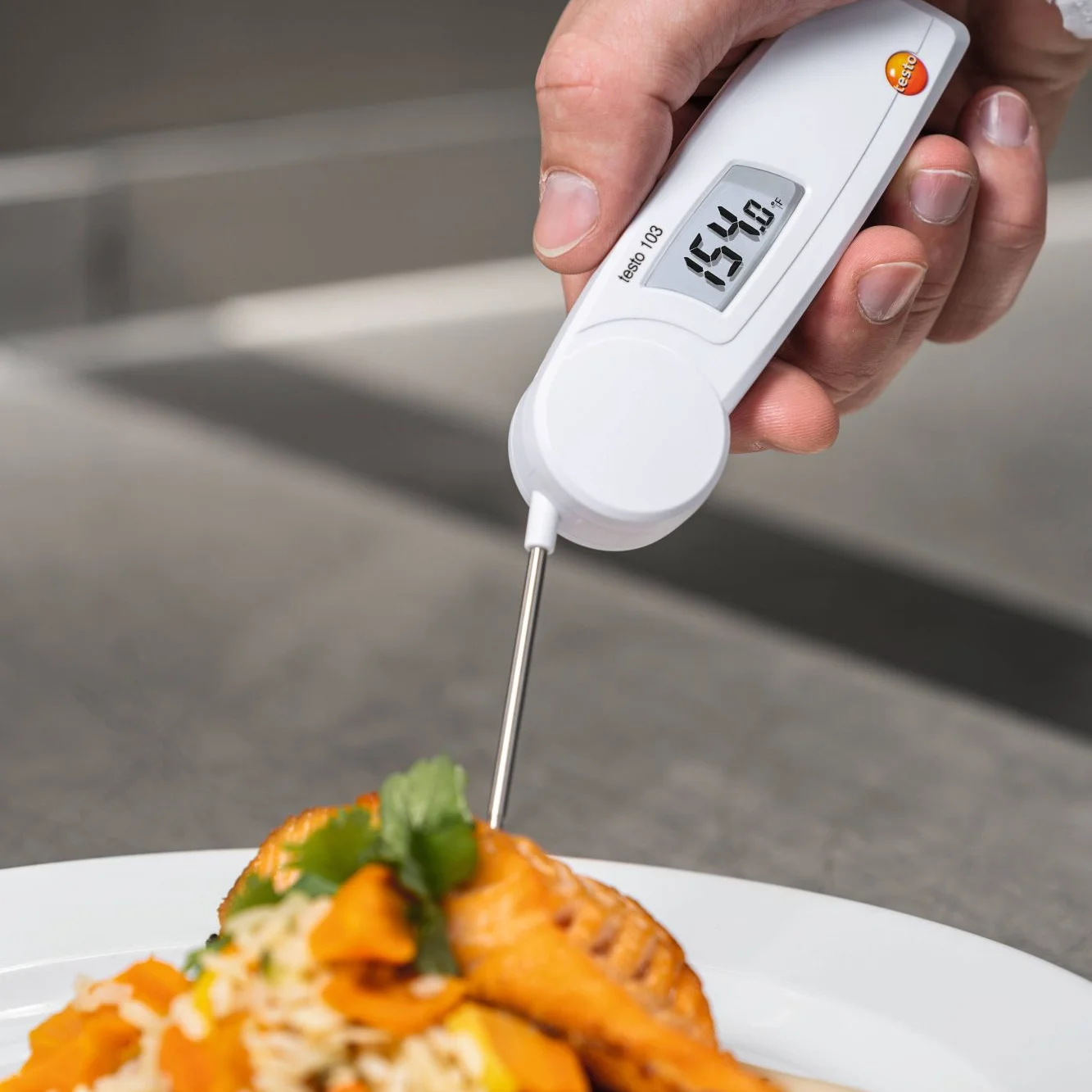 Termometer Makanan Digital Tes - Meat Thermometer ulasan dan harga